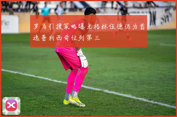 罗马引援策略曝光格林伍德仍为首选普利西奇位列第三